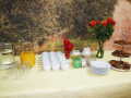 CL1-IMG_8870_web